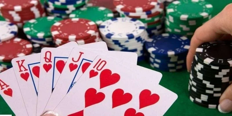 Các bước cơ bản trong một ván đấu