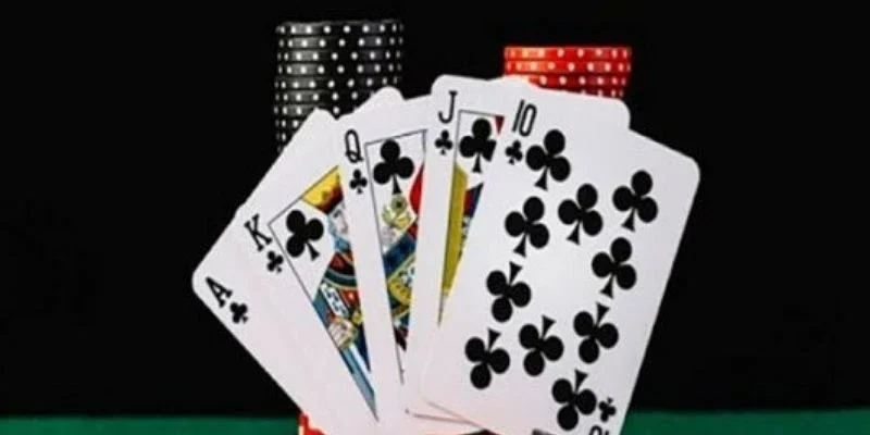 Khám phá thế giới xì tố cho người mới bắt đầu 