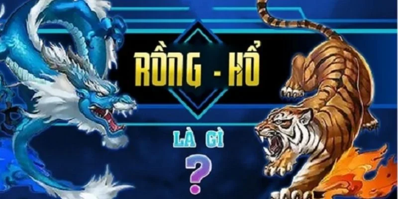Tổng quan về rồng hổ